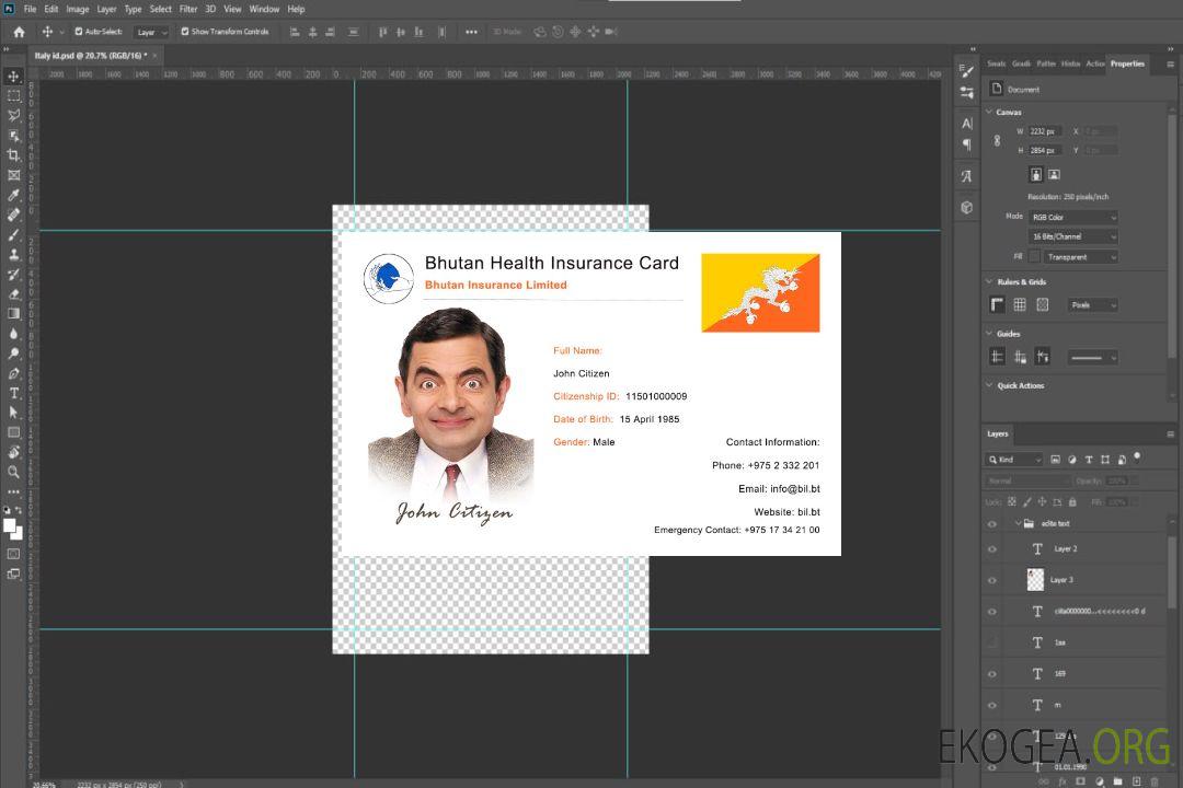 Carte d'assurance maladie du Bhoutan template